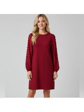 Red Swiss Dot Sheer Sleeve Dress